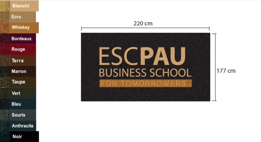 Tapis logo personnallisé groupe esc pau